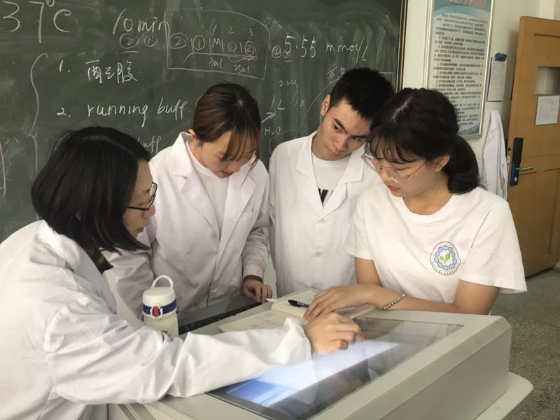 指导学生分组讨论