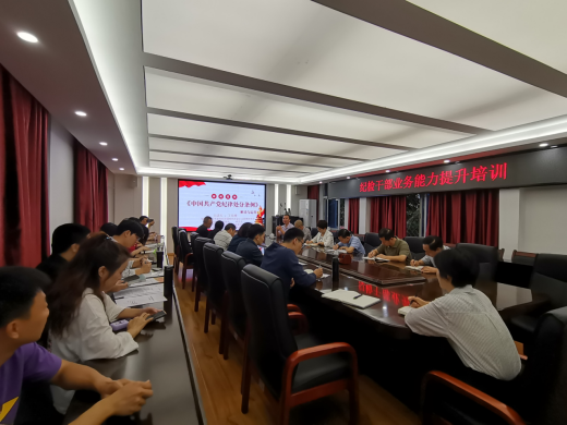 校纪委邀请丁兆增副教授作纪检干部业务能力提升培训辅导